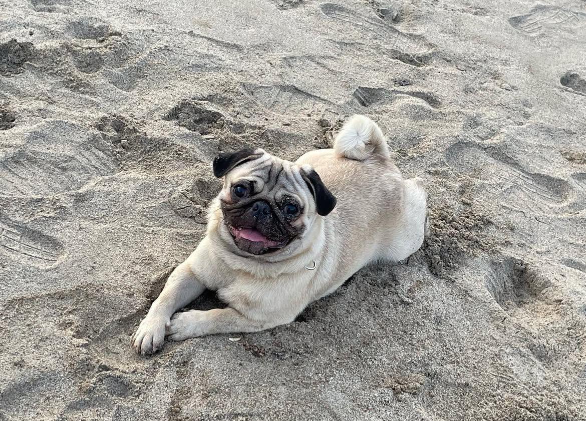 Oscar-Chief Happiness Officer